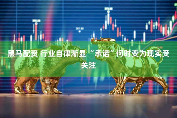 黑马配资 行业自律渐显 “承诺”何时变为现实受关注