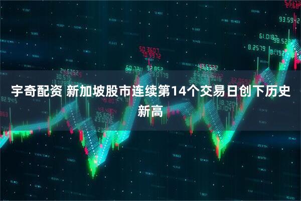 宇奇配资 新加坡股市连续第14个交易日创下历史新高