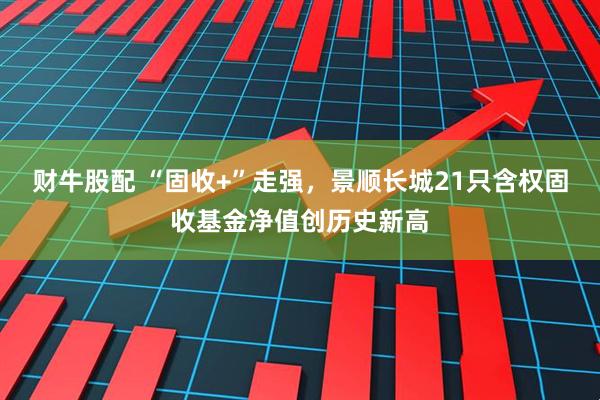 财牛股配 “固收+”走强，景顺长城21只含权固收基金净值创历史新高