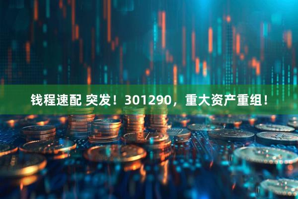 钱程速配 突发！301290，重大资产重组！