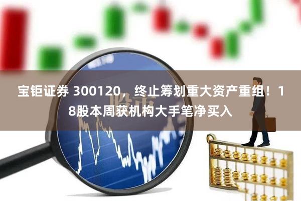 宝钜证券 300120，终止筹划重大资产重组！18股本周获机构大手笔净买入